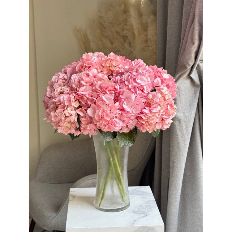 Hydrangeas