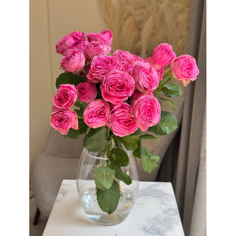 Spray rose Gyselle